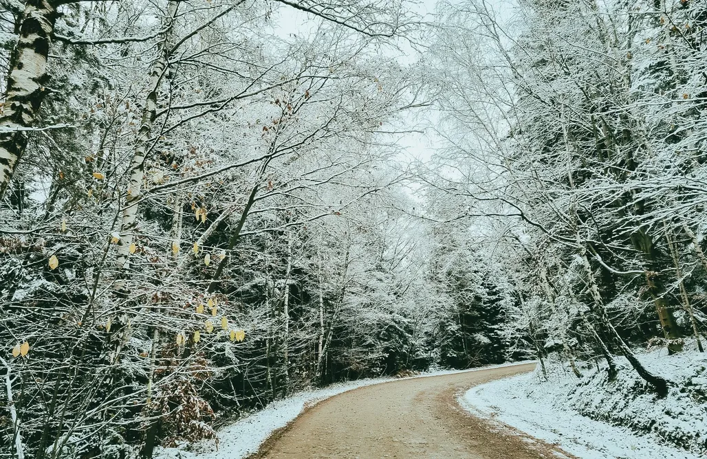 AlohaCamp accommodation Agroturystyka Nad Jeziorem - Osada Indiańska 1