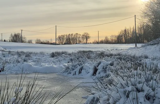 Zdjęcie obiektu Vilanovka - domki z prywatną balią przy stawie i lesie