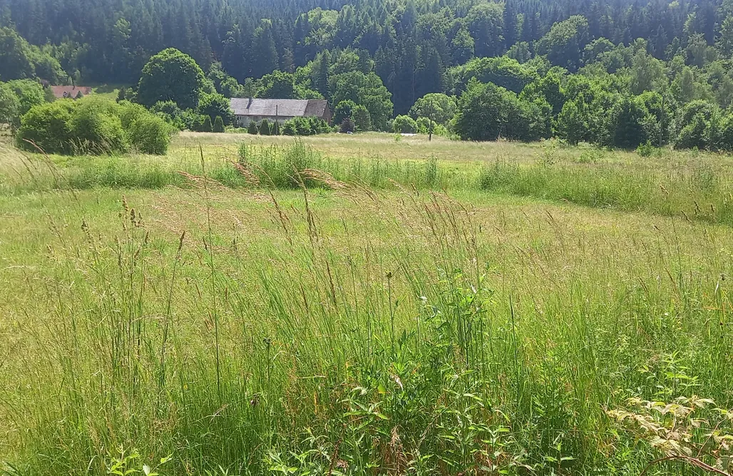AlohaCamp Stanowisko na  namiot z dostępem do podłączenia elektrycznego (Tent and Electricity) 2