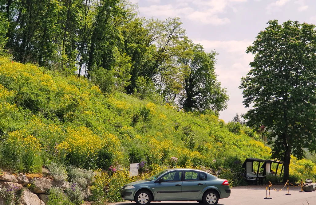 AlohaCamp Bromberg 2