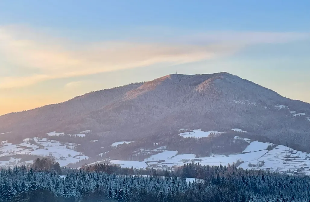 AlohaCamp accommodation Aurora Green Hill - Forest z jacuzzi  1