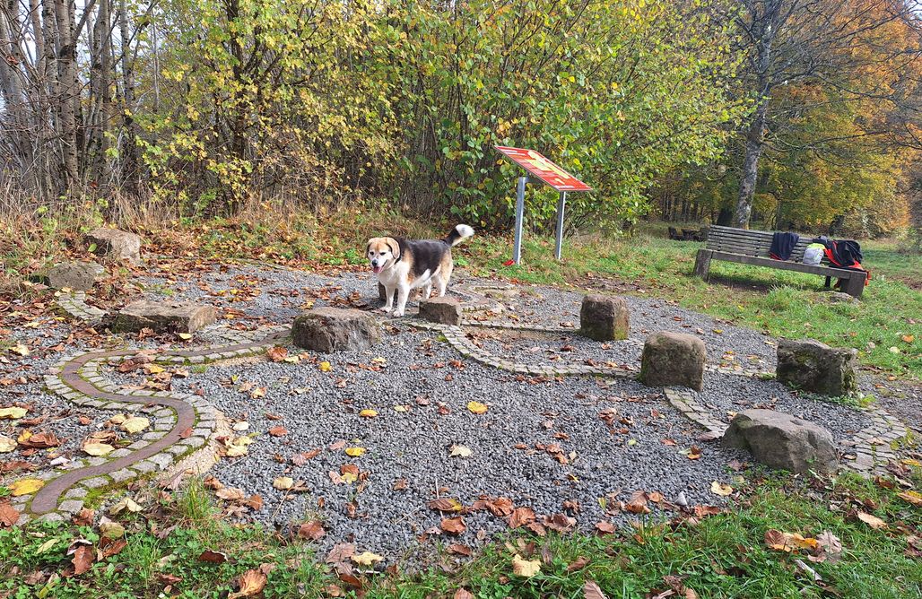 AlohaCamp accommodaties Ferienhaus Waldidyll 1