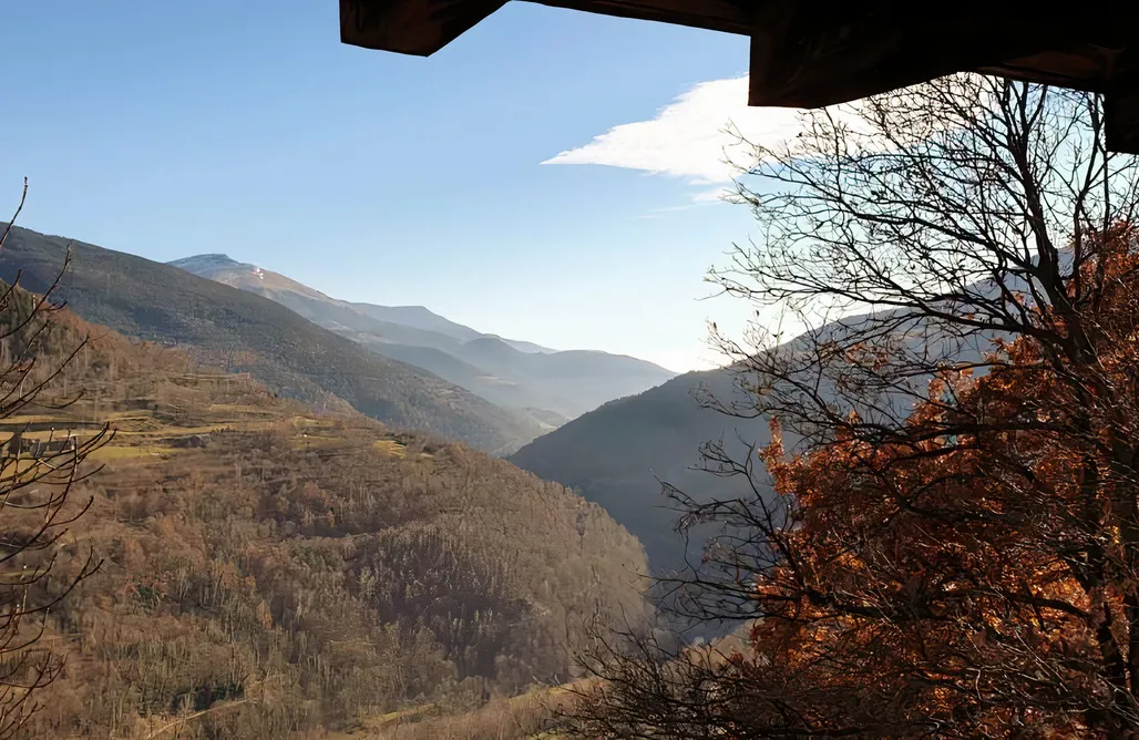 noclegi AlohaCamp Ca La Estrella 4