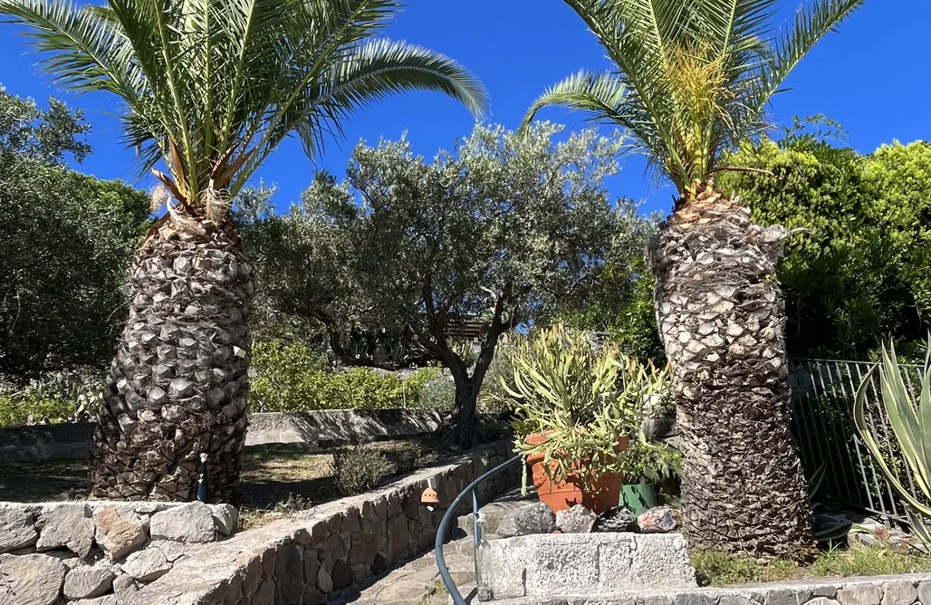 Alloggio AlohaCamp Case Quattrocchi  1