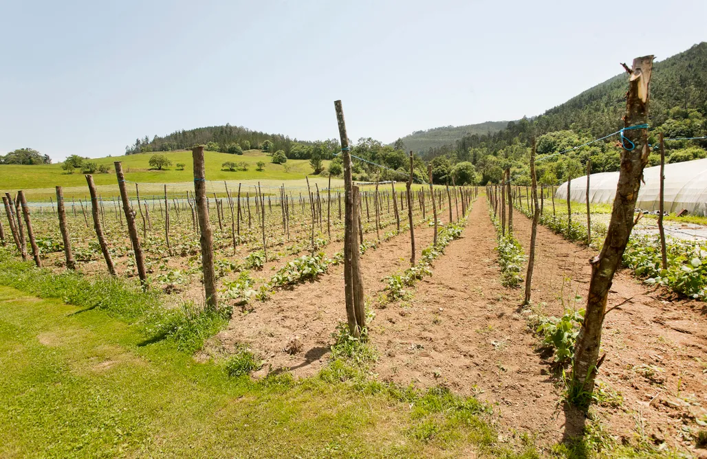 AlohaCamp Apartamentos Rurales San Martín. Casa Ferreiro.  1