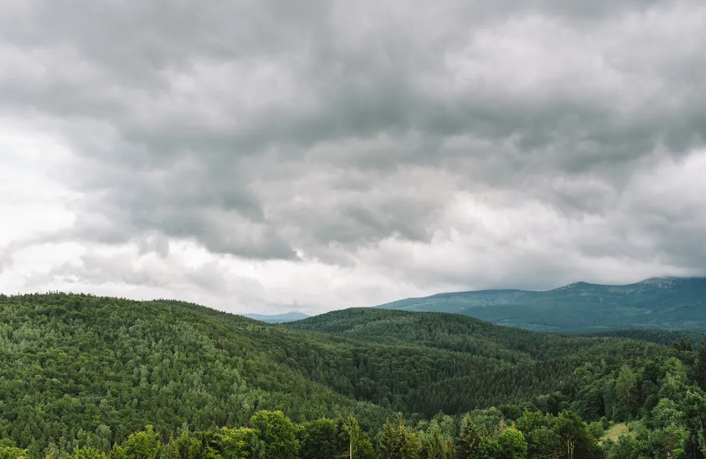 AlohaCamp WERANDA Dom 1