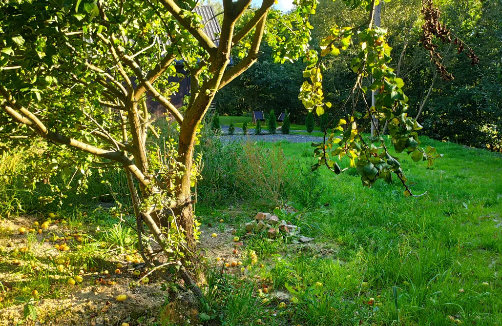 AlohaCamp accommodation Osada Mrożynka domki z balią i sauną  1