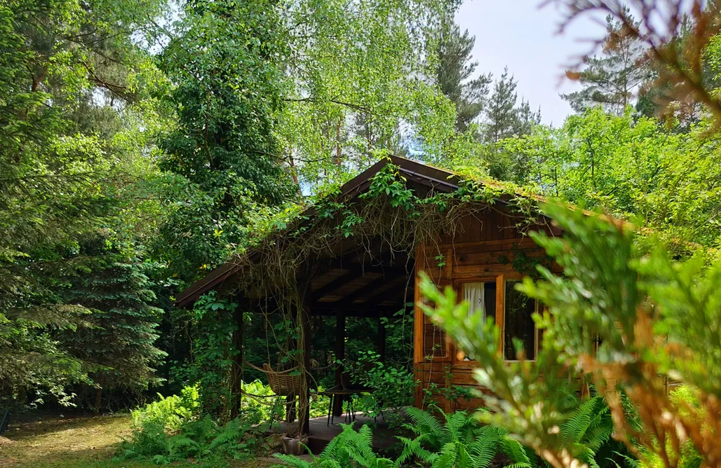 Jodłowiec Domki Domek Paproć 3