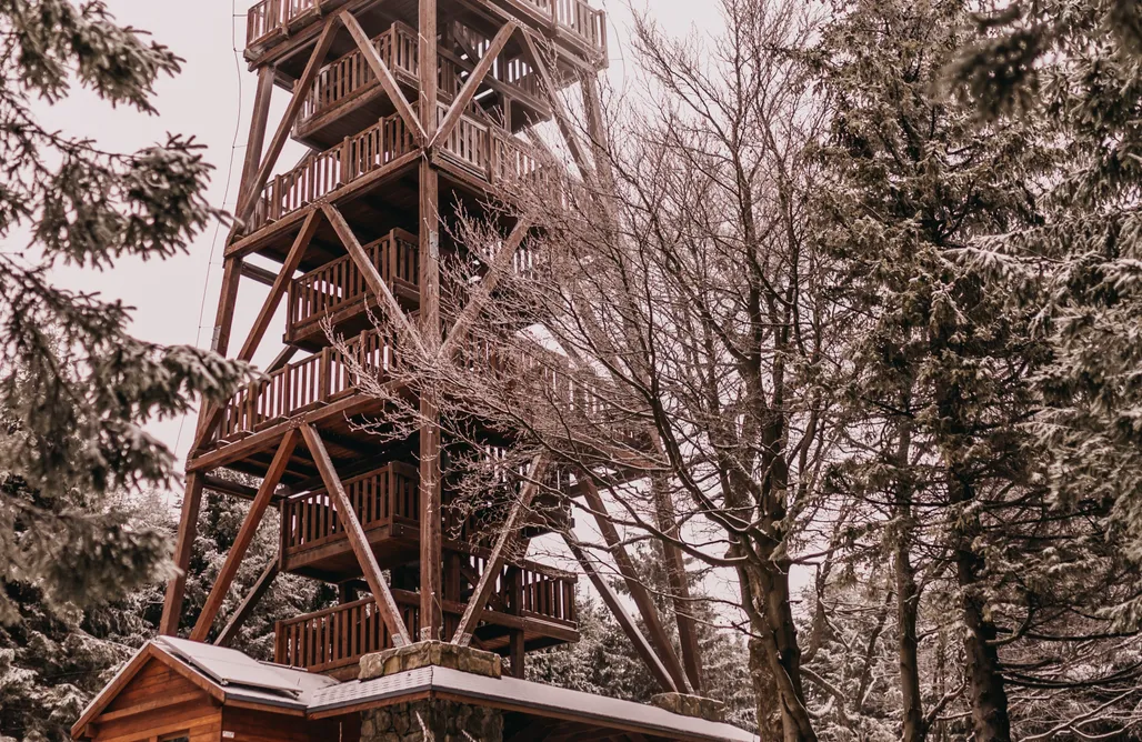 AlohaCamp Domek z piętrem 1