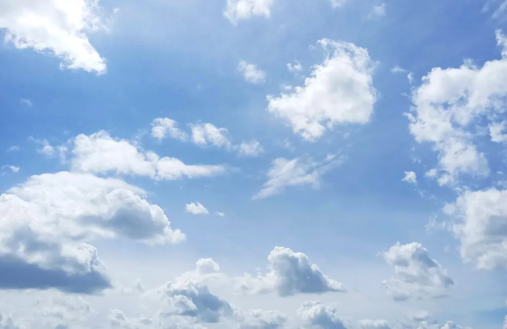 noclegi AlohaCamp Dom.Las 2  1