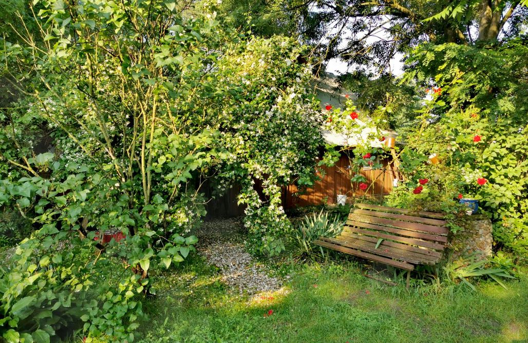 alojamientos AlohaCamp Chata za Wsią 3