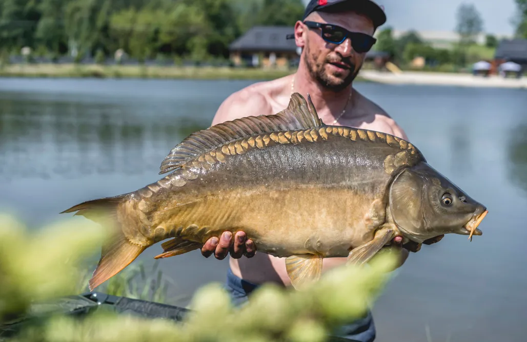 AlohaCamp Zatylove domki - Brzozowy 1