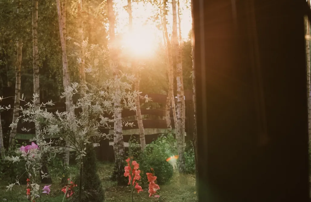 noclegi AlohaCamp Dom Merlina  4