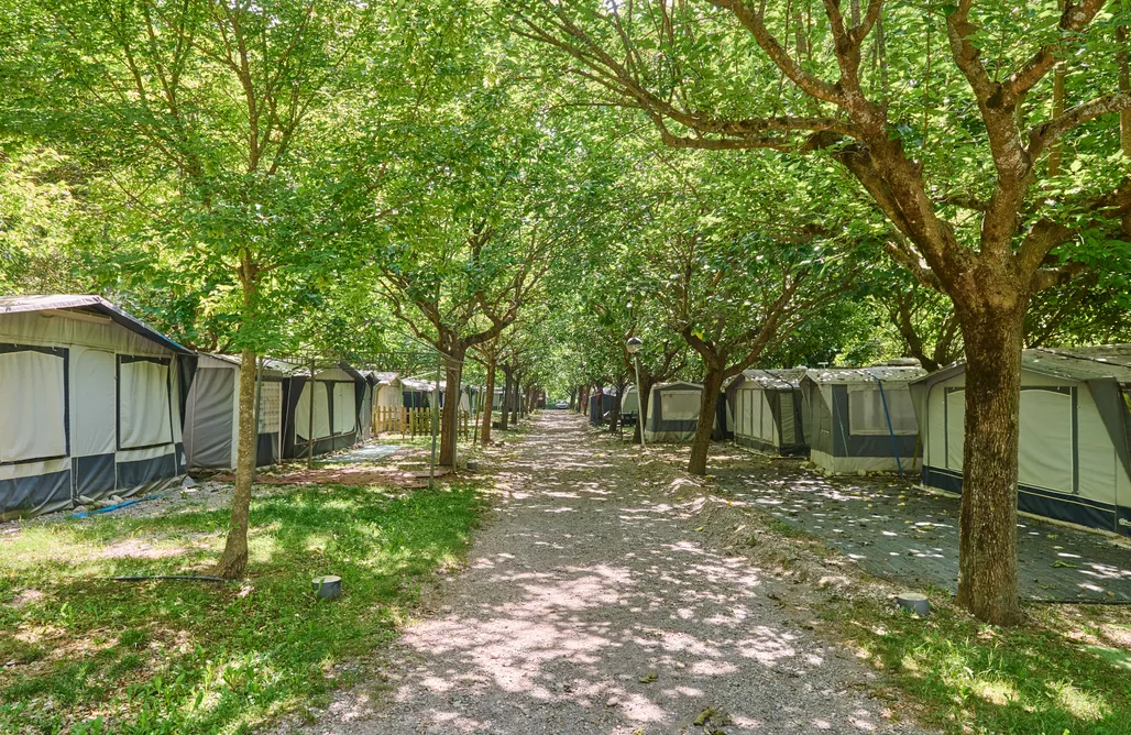 AlohaCamp Caravana + coche 1