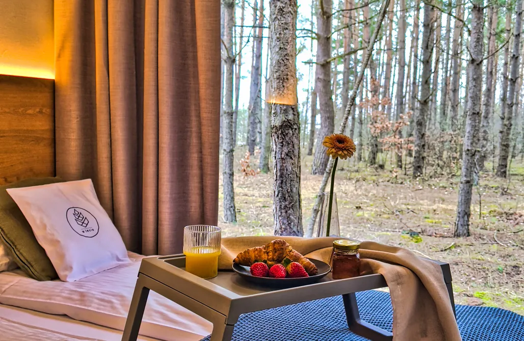 AlohaCamp accommodation W lesie 5