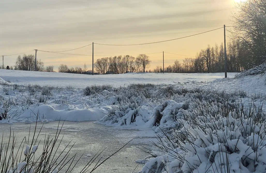 Unterkunft AlohaCamp Vilanovka - domki z prywatną balią przy stawie i lesie 4