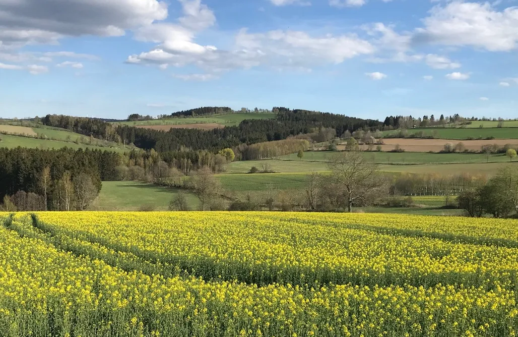 Urlaub im Bayerischen Wald Rauschenbachmühle 3