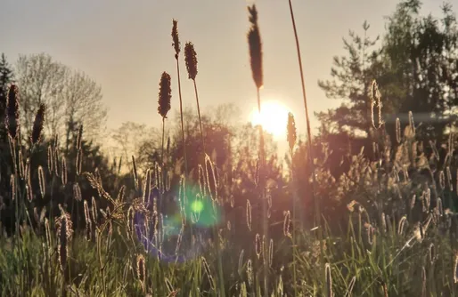 Zdjęcie obiektu Stuga pod Lasem