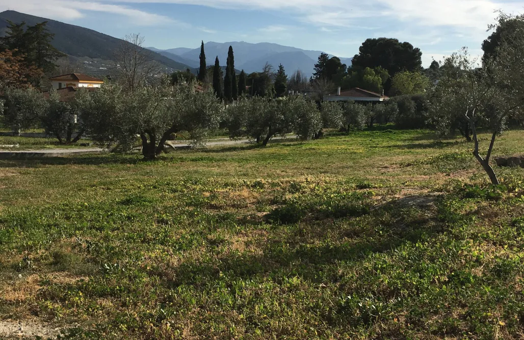 Hoteles Roquetas de Mar Campo Paraíso 1