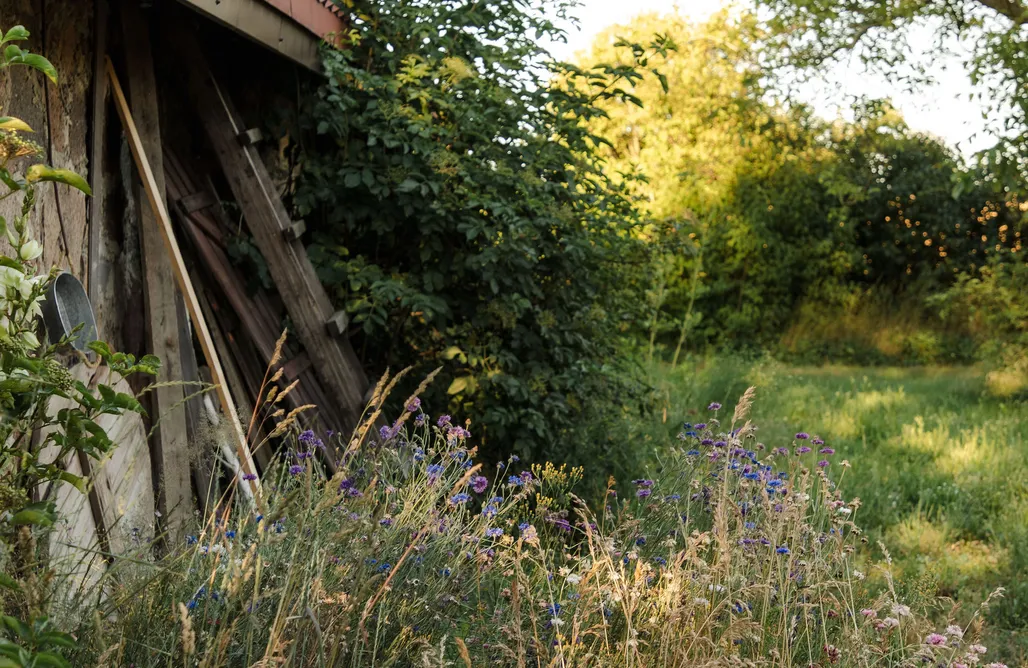 noclegi AlohaCamp Zagroda Konik Polny 1