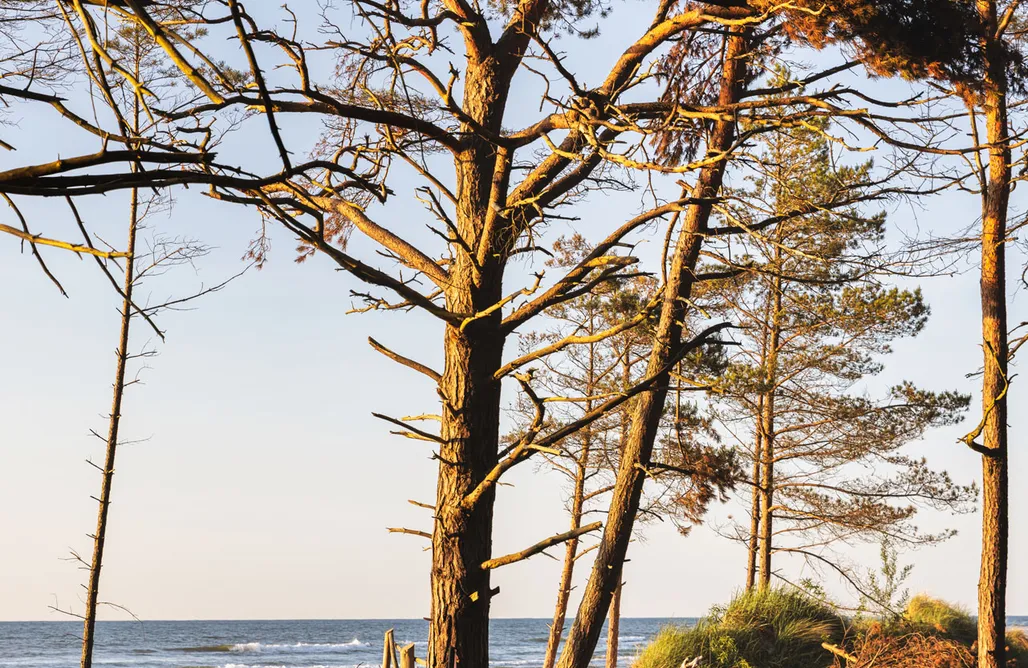 noclegi AlohaCamp Dymnica 5 5