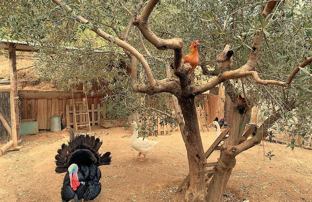 AlohaCamp accommodation Coqueta Tiny House en granja rural 5