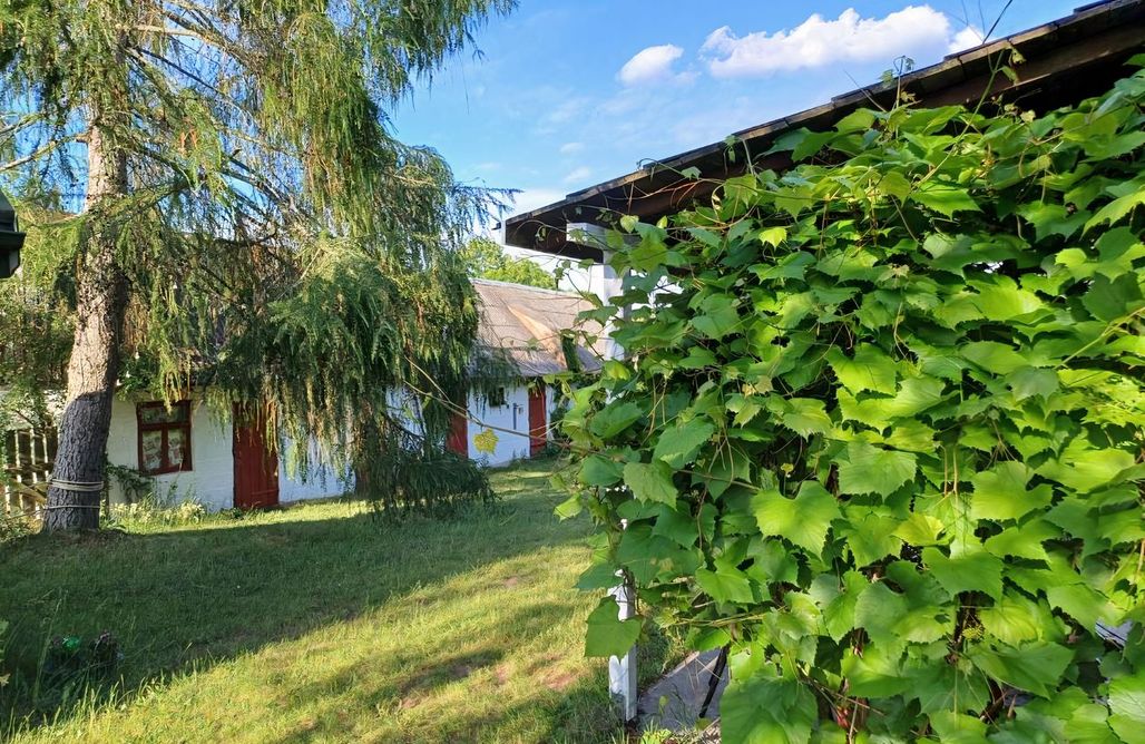 noclegi AlohaCamp Wakacje Wigry 2