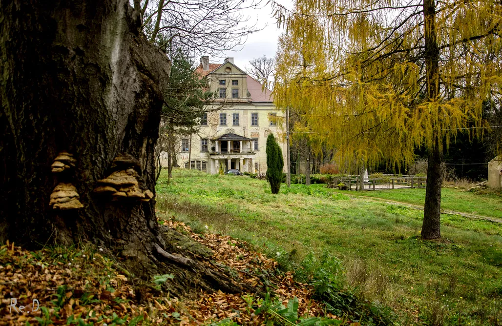 AlohaCamp accommodation Pałac Rząsiny 2