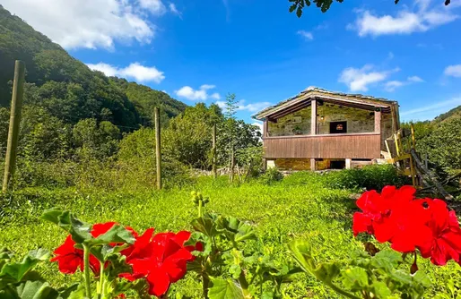 Imagen de La Cabaña de Los Rios