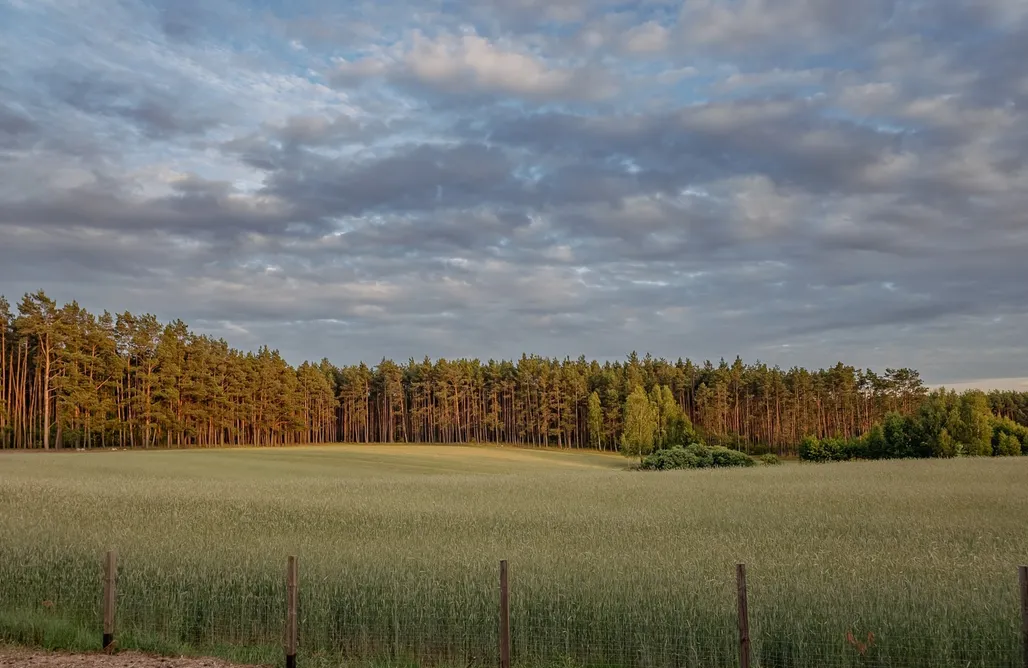 noclegi AlohaCamp Domki pod Aniołem 5
