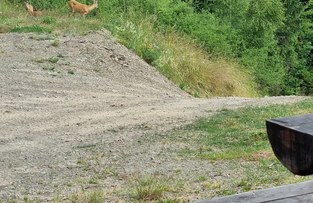 noclegi AlohaCamp Dom w drapie  1