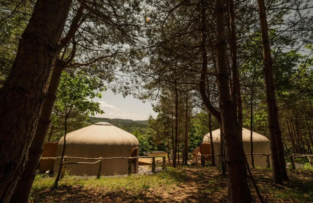 noclegi AlohaCamp Leśny krąg 4