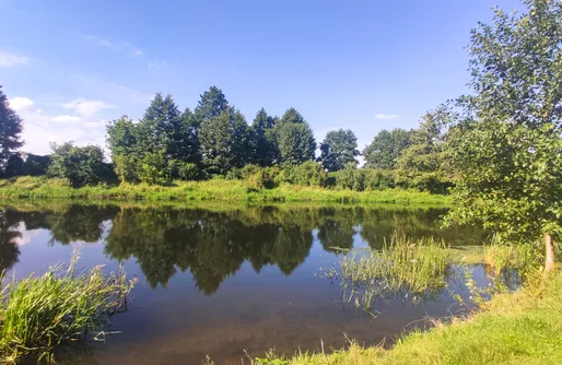Zdjęcie obiektu The hills at river 
