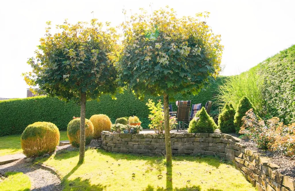 Unterkunft AlohaCamp Holzhaus Hubertus mit Sauna und Kamin 5