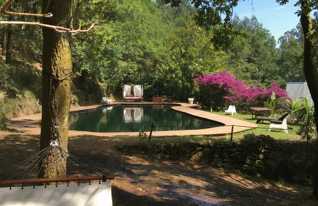 AlohaCamp Finca con Casas Madera y Domo Geodésico 1