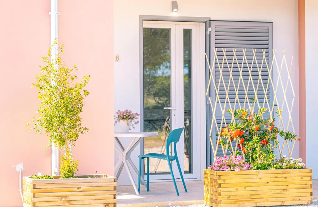 Notte di San Lorenzo 2026 💫 Agriturismo Tenuta Arbanoa 3