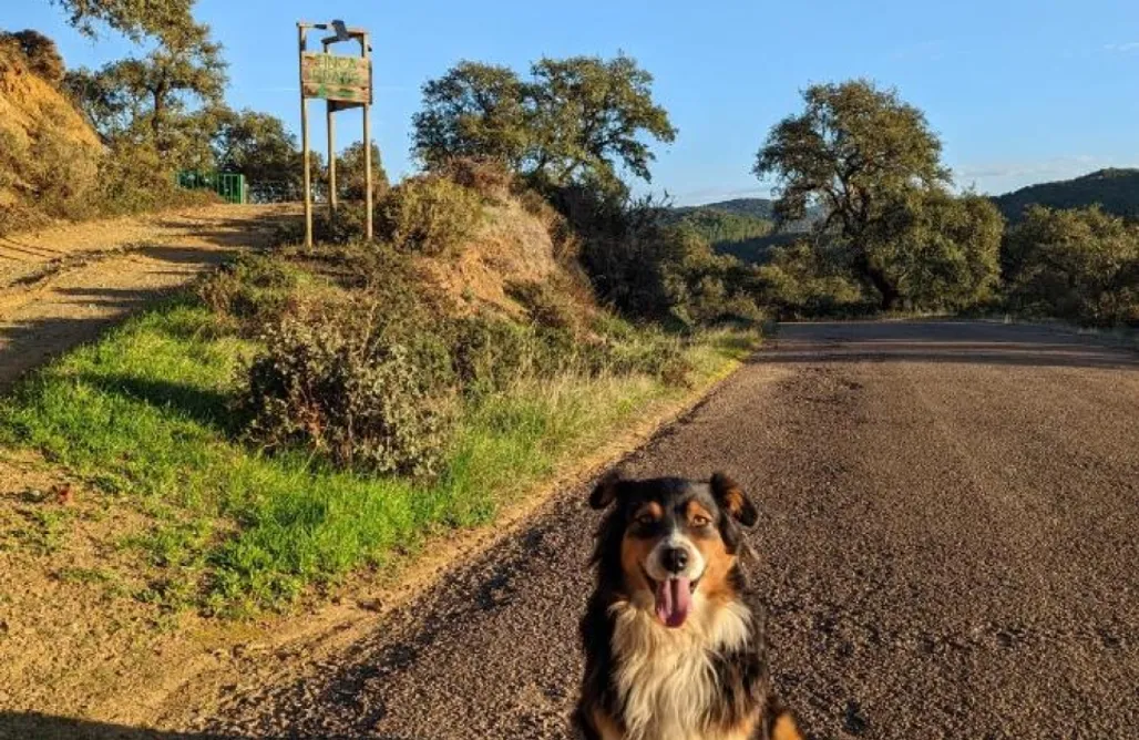 AlohaCamp accommodation Finca Bravo: Casa de Campo 1