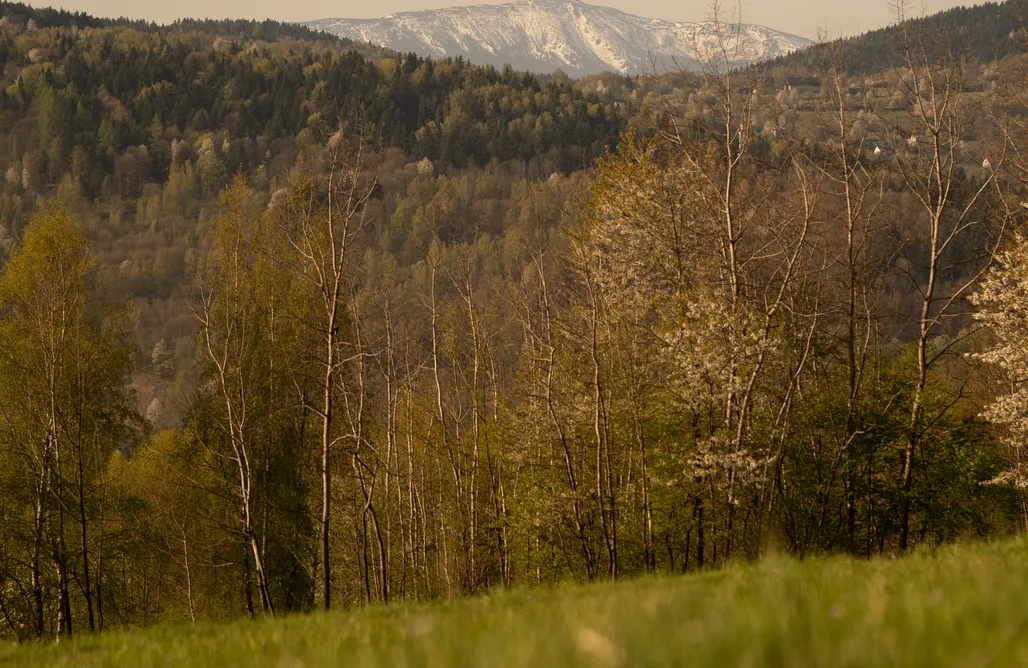 noclegi AlohaCamp Tiny House Okno na Beskidy domek z balią , sauną i widokiem na góry 5