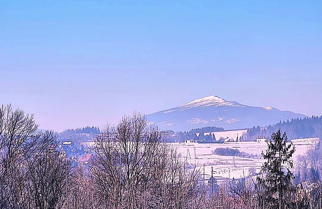 AlohaCamp Domek Leniuchowo 1