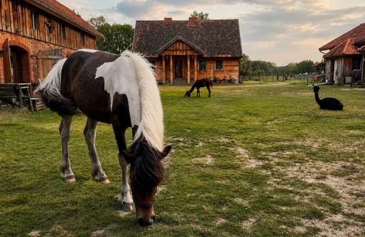 Zdjęcie obiektu Farma Puchałowo
