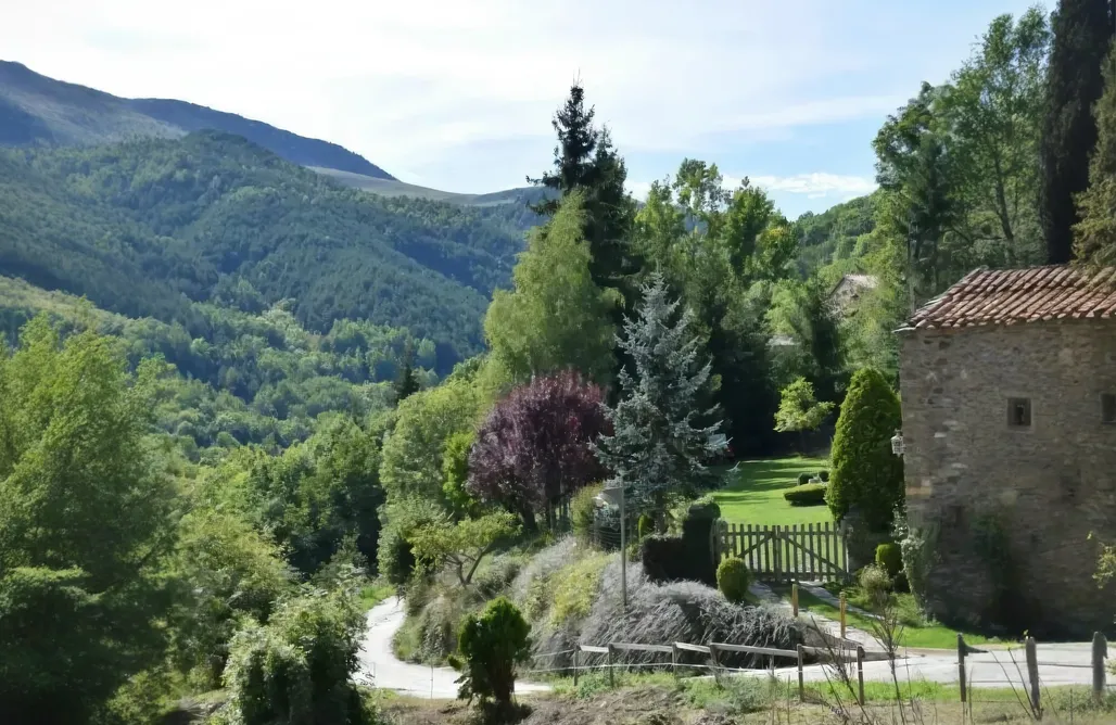 AlohaCamp El taller del artista 1