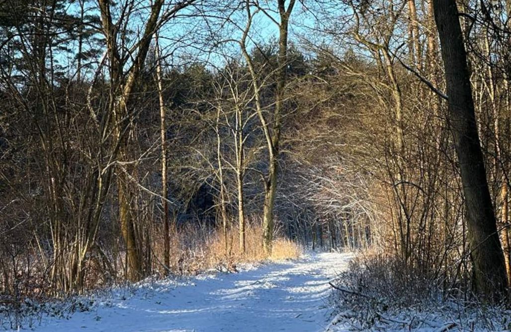AlohaCamp accommodation Leśny Domek Świekatowo 1