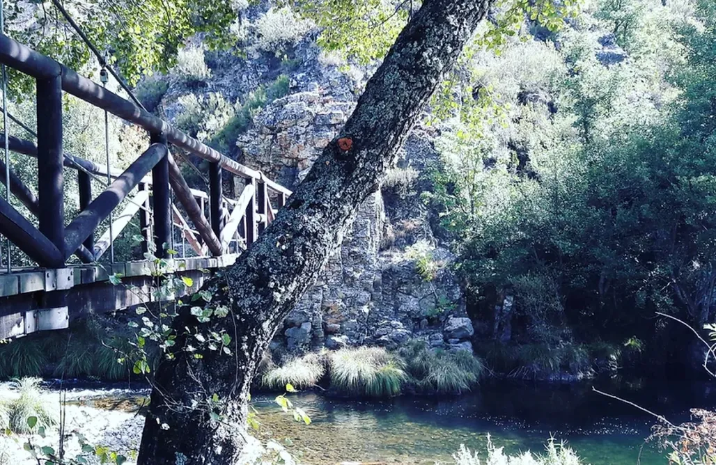 AlohaCamp Duende del Omaña 1