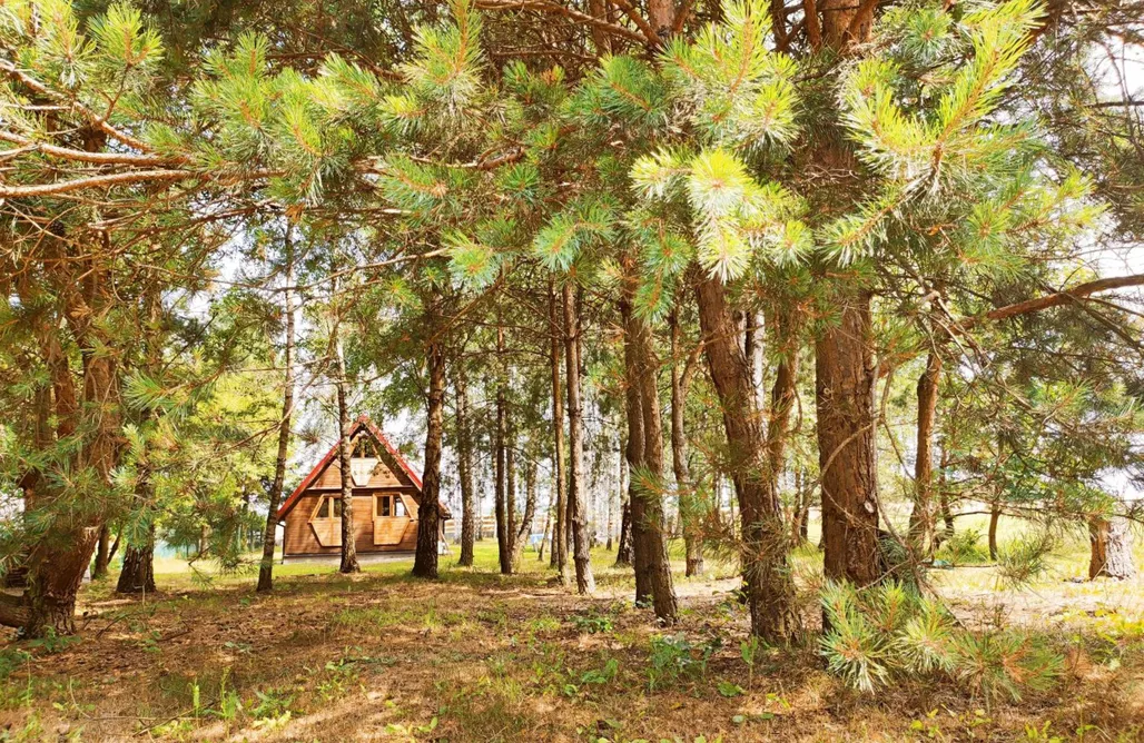 Antolka noclegi Wypoczynek "Pod Brzóstkami" 2