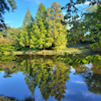 Agnieszka użytkownik