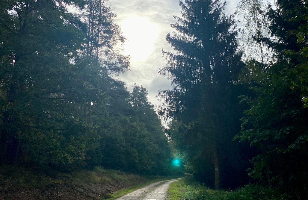 AlohaCamp Domek Trzy Baby 1