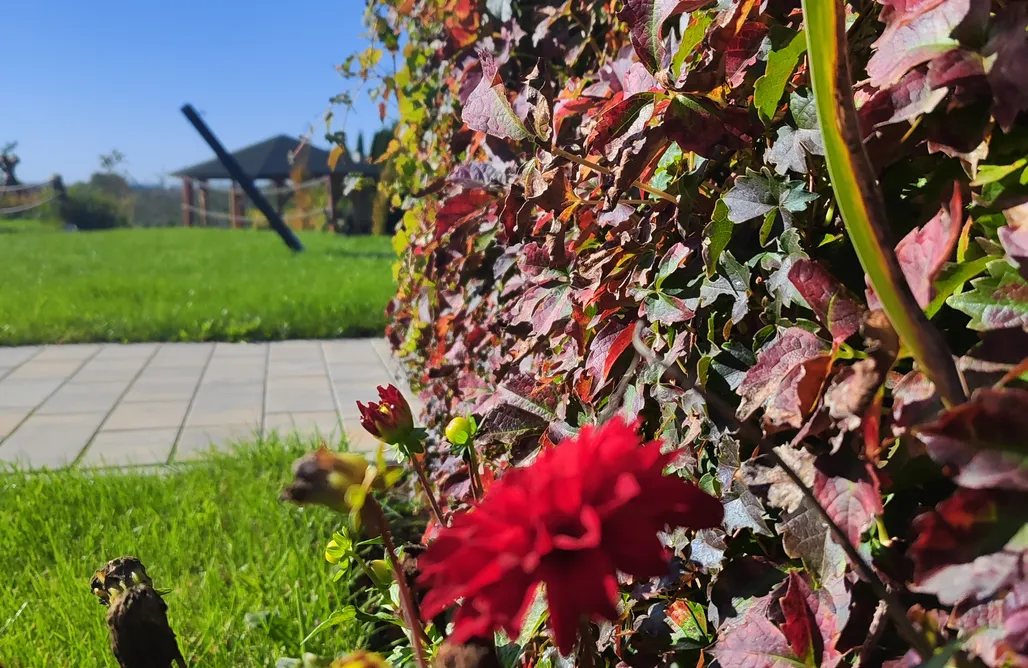 noclegi AlohaCamp Kwitnące Jabłonie. Całoroczne domki wypoczynkowe 1