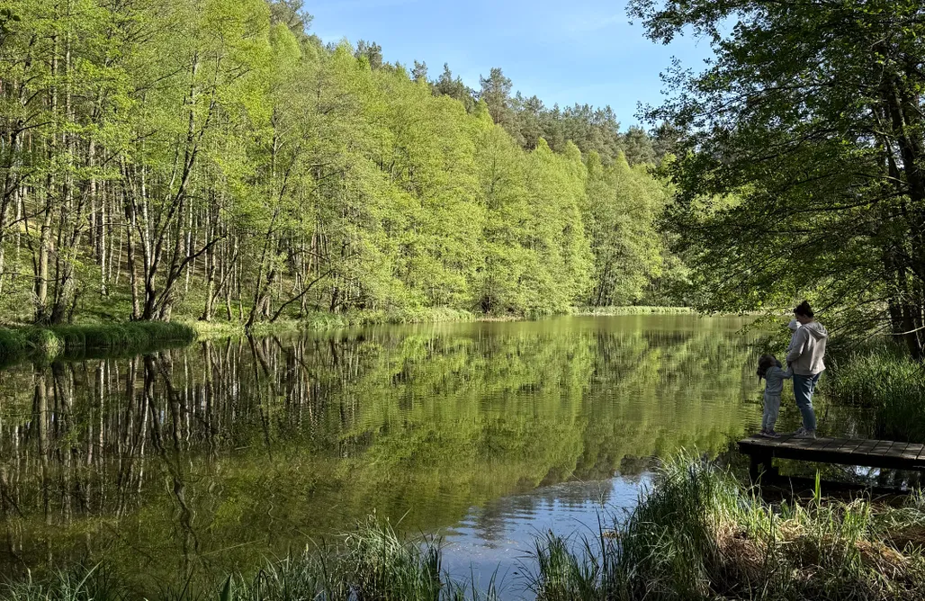 alojamientos AlohaCamp Domek Wśród Wód 1