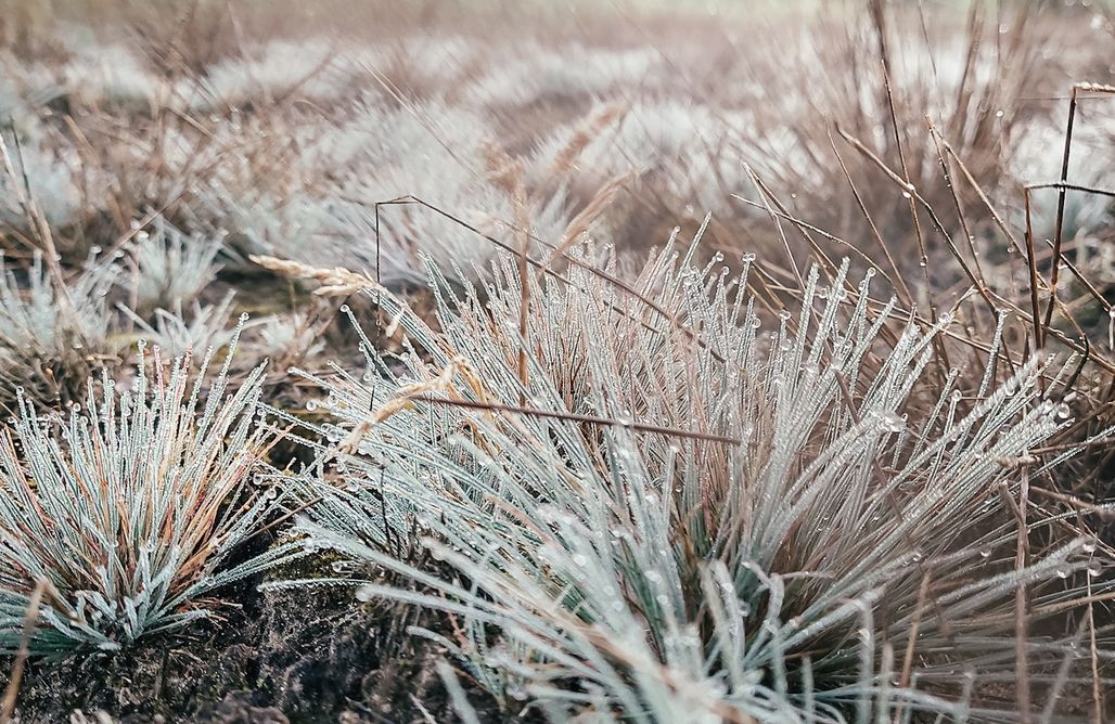 Wólka-Wojciechówek Domki Promowa17 - większy domek  1