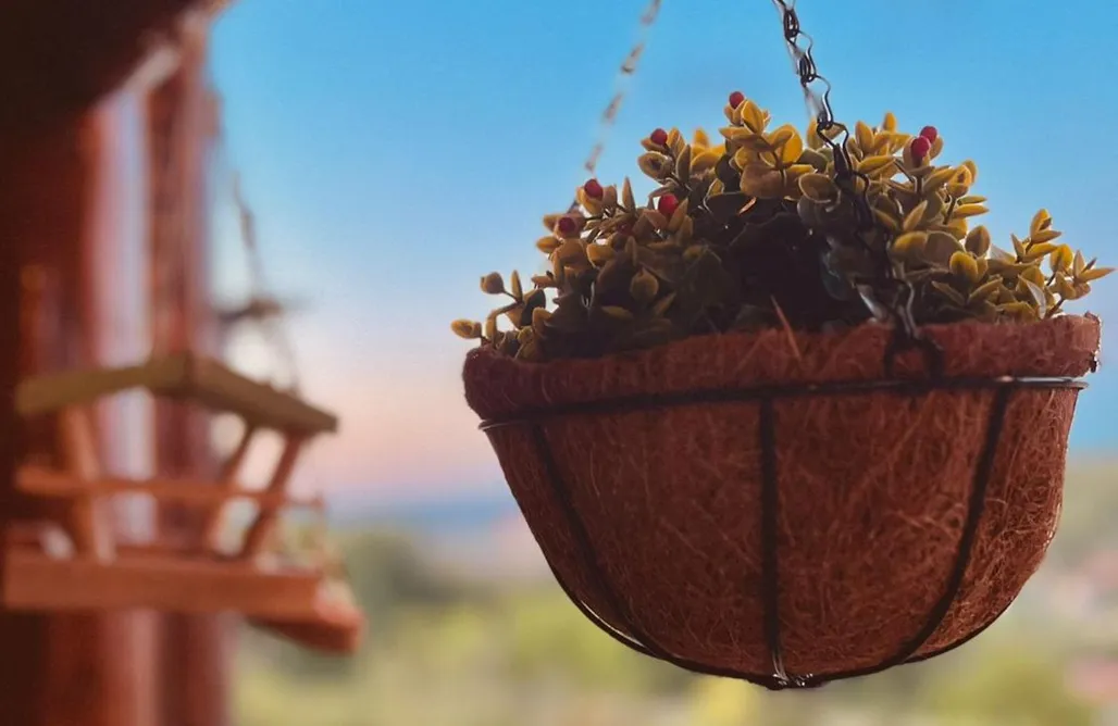 Unterkunft AlohaCamp Wood house Marilla 5